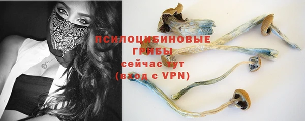 спиды Заволжск