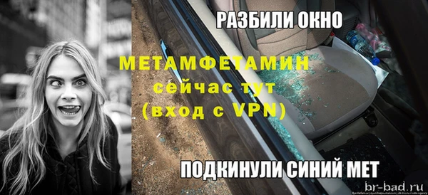 шишки Заволжье