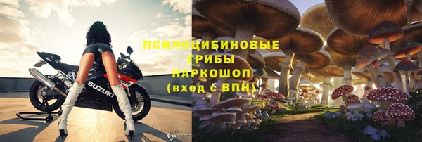 шишки Заволжье