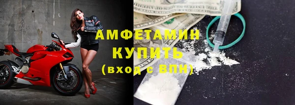 шишки Заволжье