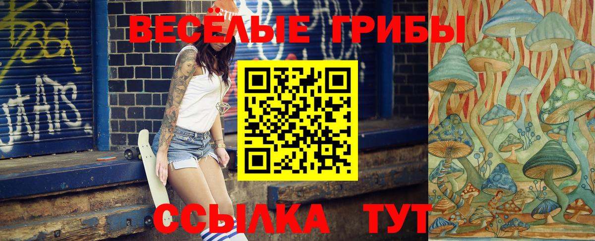Псилоцибиновые грибы мицелий Карталы