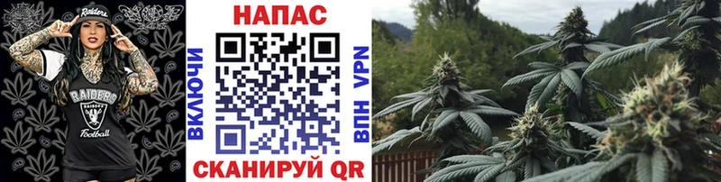 МАРИХУАНА сатива  Карталы 